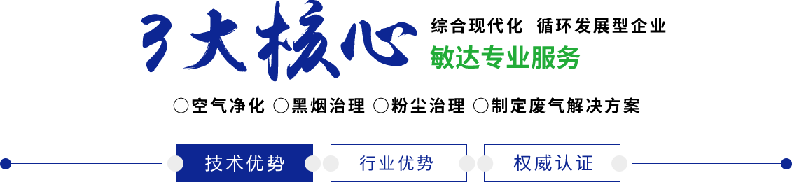 用鸡巴用力干我在线观看敏达环保科技（嘉兴）有限公司